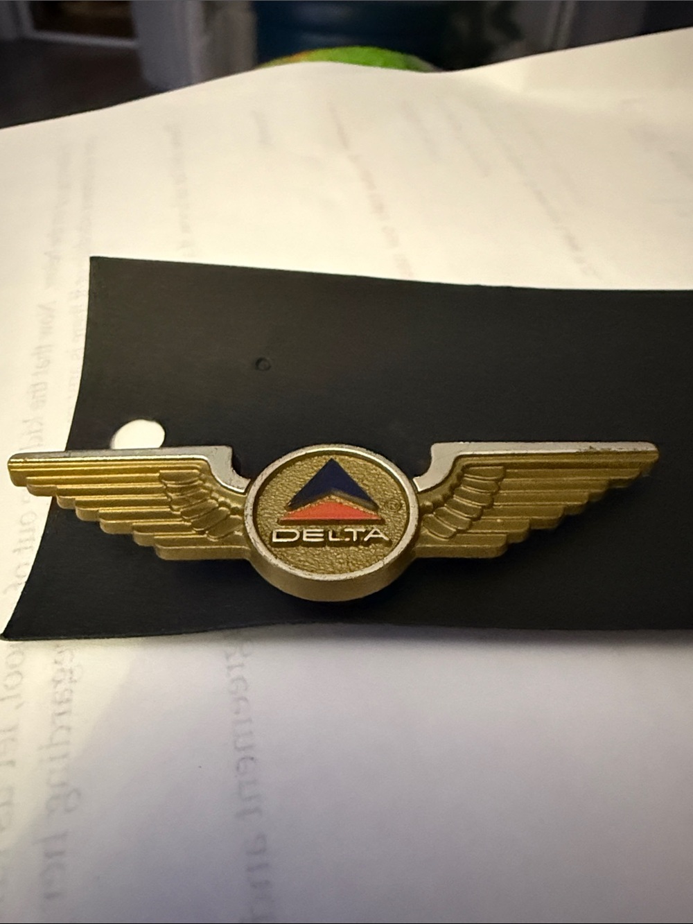 Delta Childs Gold Wing Badge with Blue and Red Triangle Emblem (1960)